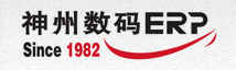 神州数码管理系统有限公司