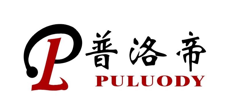 普洛帝测控有限公司