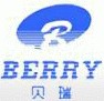上海贝瑞电气系统有限公司