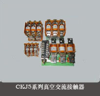 乐清市祥余电器有限公司