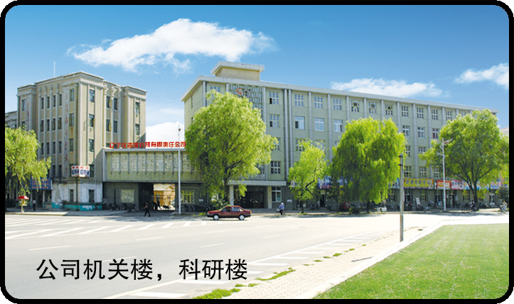 辽宁仪表研究所有限责任公司