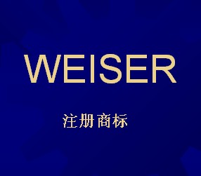 徐州市伟思水务科技有限公司