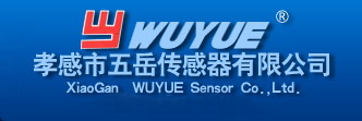 湖北五岳传感器有限公司