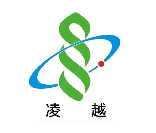重庆凌越工业设备有限公司